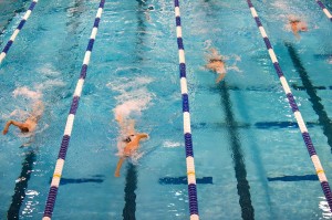 Swimmers in a pool