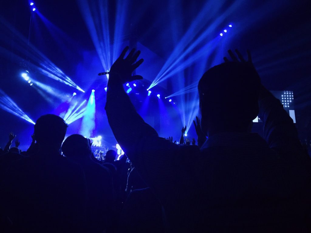 Cheering crowd at a rock concert