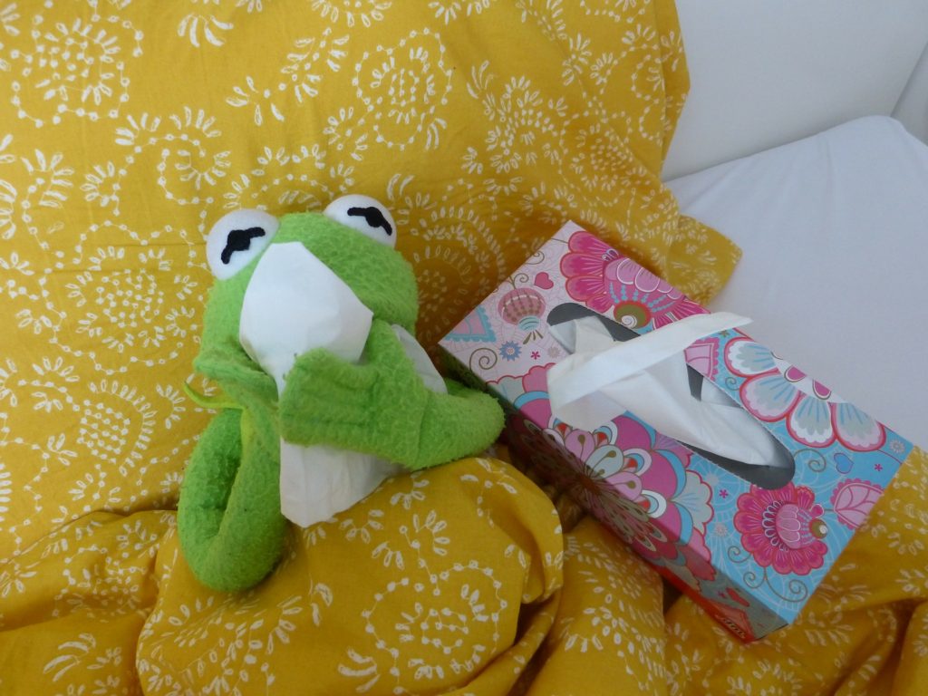 Kermit the Frog in bed, blowing his nose