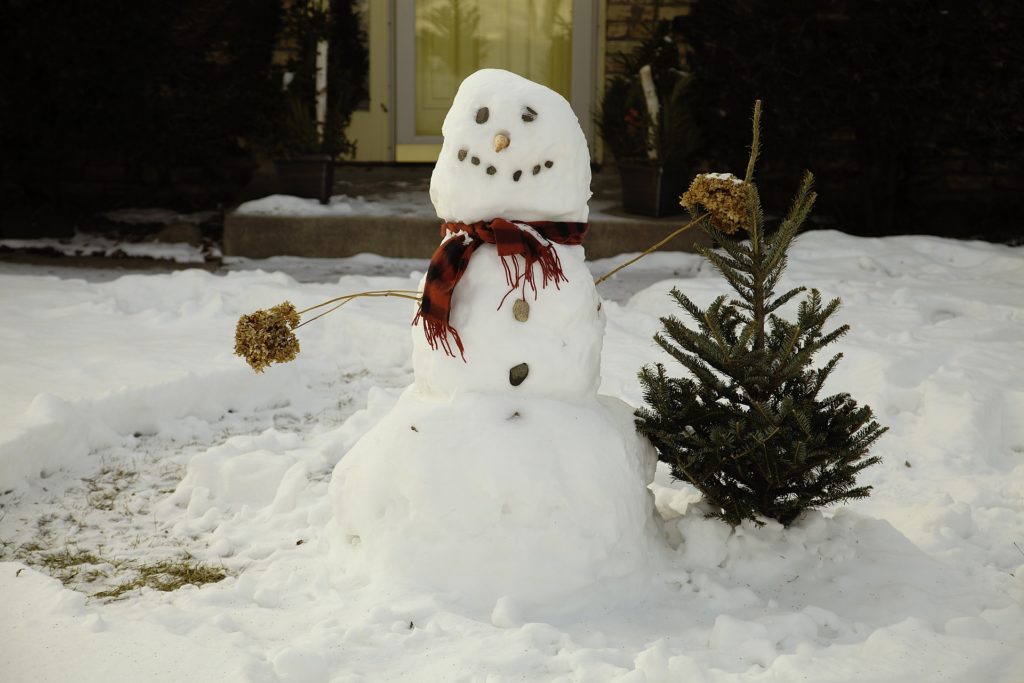 Snowman in the garden