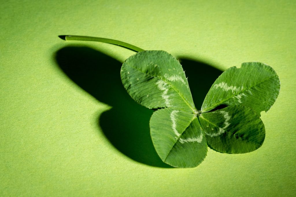 Four-leaf clover