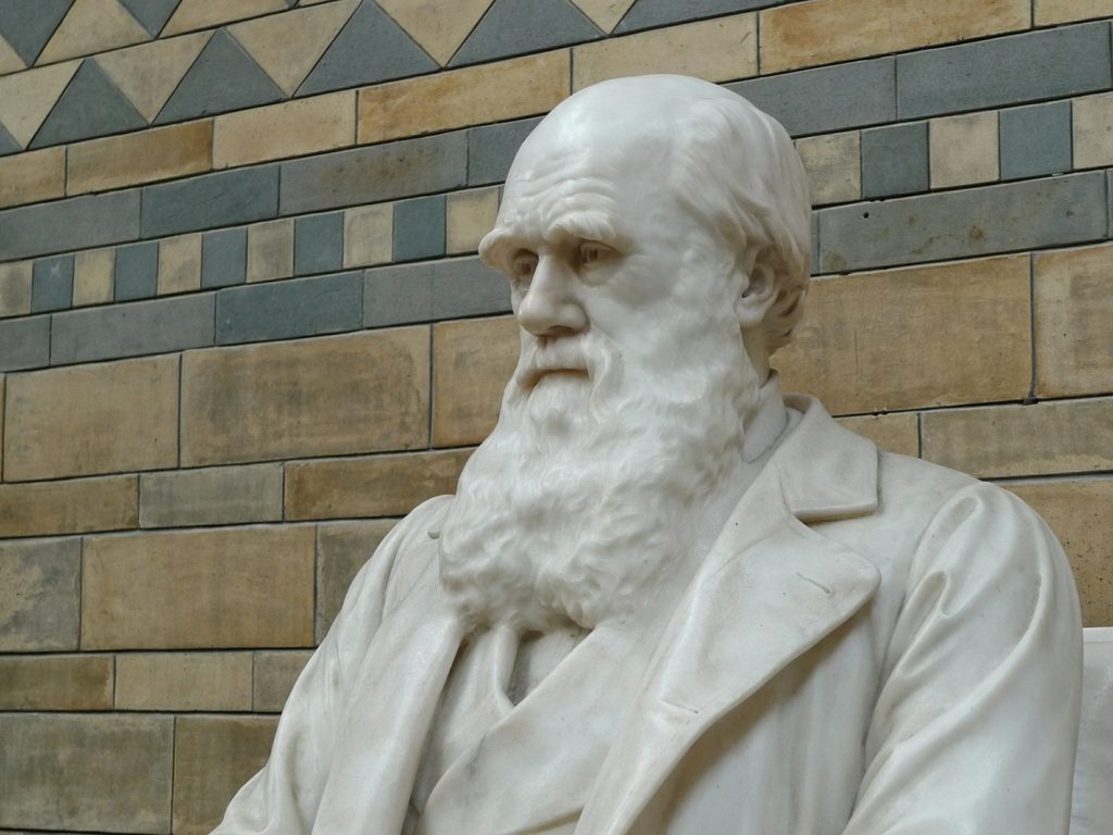 Statue of Charles Darwin