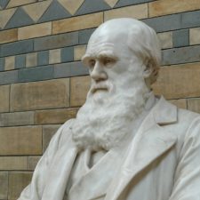 Statue of Charles Darwin